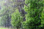 Rain: The Precise Forecast and What It Means For You