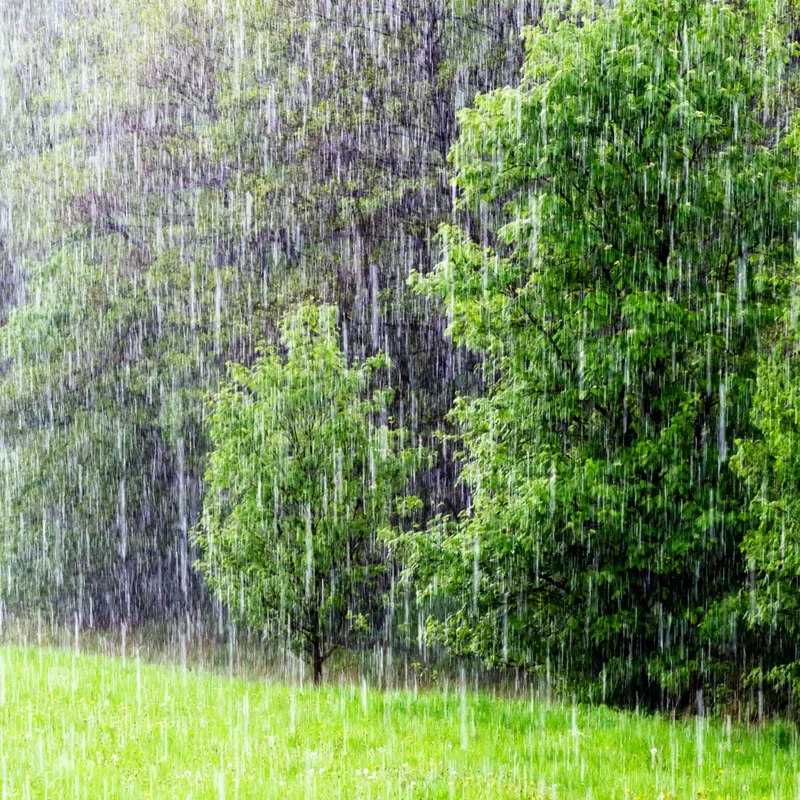 Rain: The Precise Forecast and What It Means For You